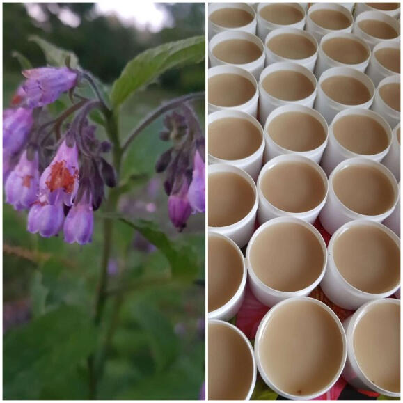 COMFREY OINTMENT COMFREY OINTMENT