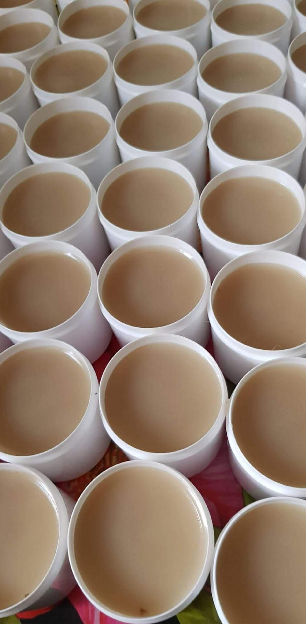 An ointment made from pork fat*and comfrey An ointment made from pork fat*and comfrey