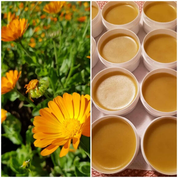 CALENDULA OINTMENT FOR PROBLEMATIC DRY SKIN CALENDULA OINTMENT FOR PROBLEMATIC DRY SKIN