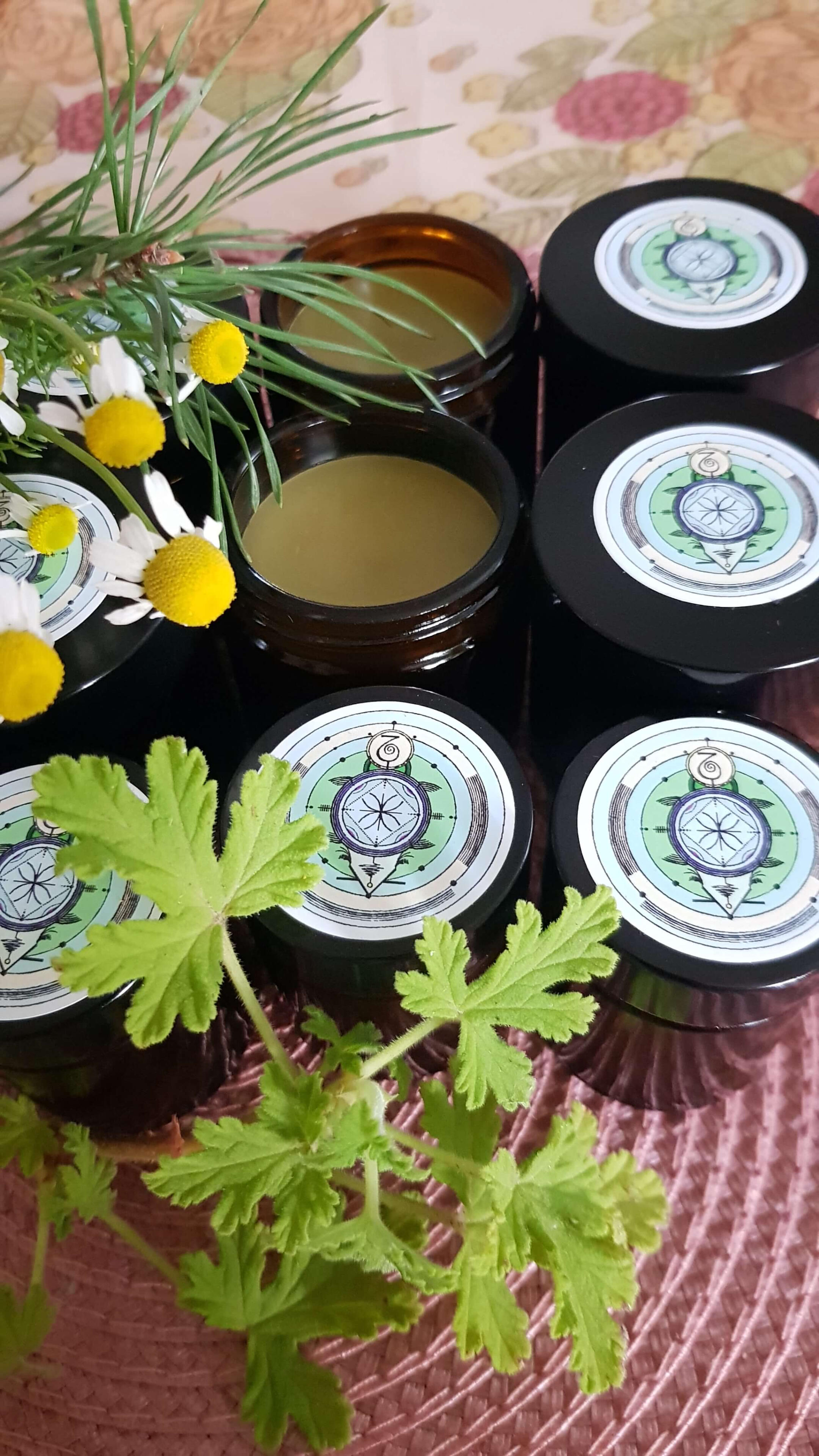 Pine needle chlorophyll is the green substance found in pine needles PINE NEEDLE ANTIBACTERIAL OINTMENT