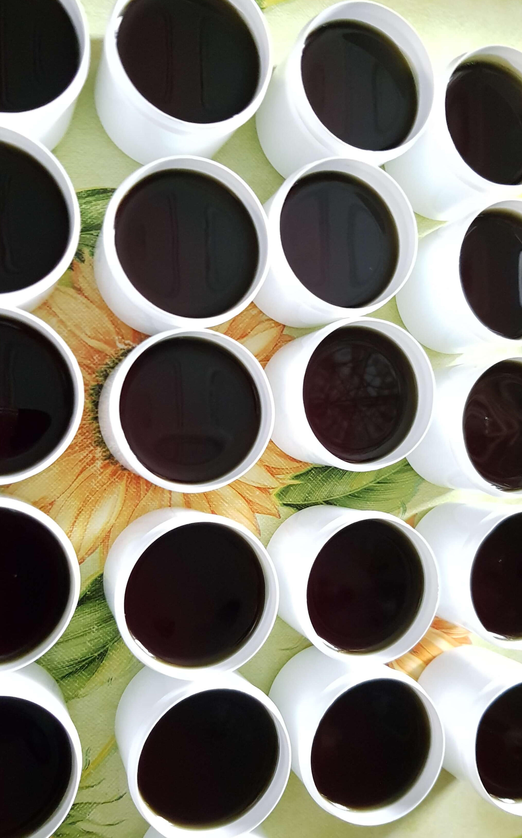 HORSERADISH LEAF OINTMENT HORSERADISH LEAF OINTMENT